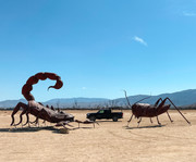 B3A4C788-9B2D-44F7-8EE1-6D5F65C26CCE_1_201_a