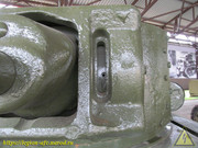IMG-9934