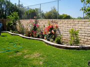 Stone Pathway & Planting