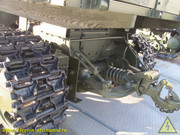 IMG-0020