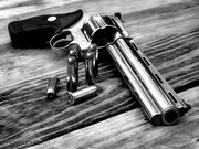 [Image: Anaconda-B-W2.jpg]