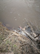 IMG-20200514-213944