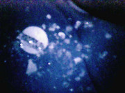 Photo_2025-06-05 21_23_22_708