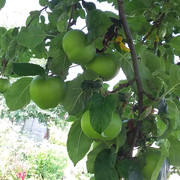 [Bild: 20210723-101933.jpg]