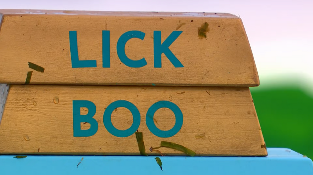 [Image: f5gcs4v3dov7.png]