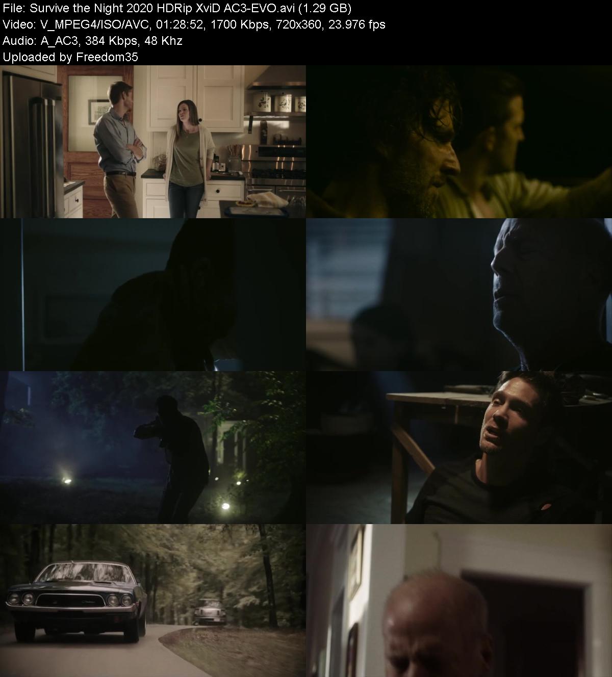 Survive-the-Night-2020-HDRip-Xvi-D-AC3-E
