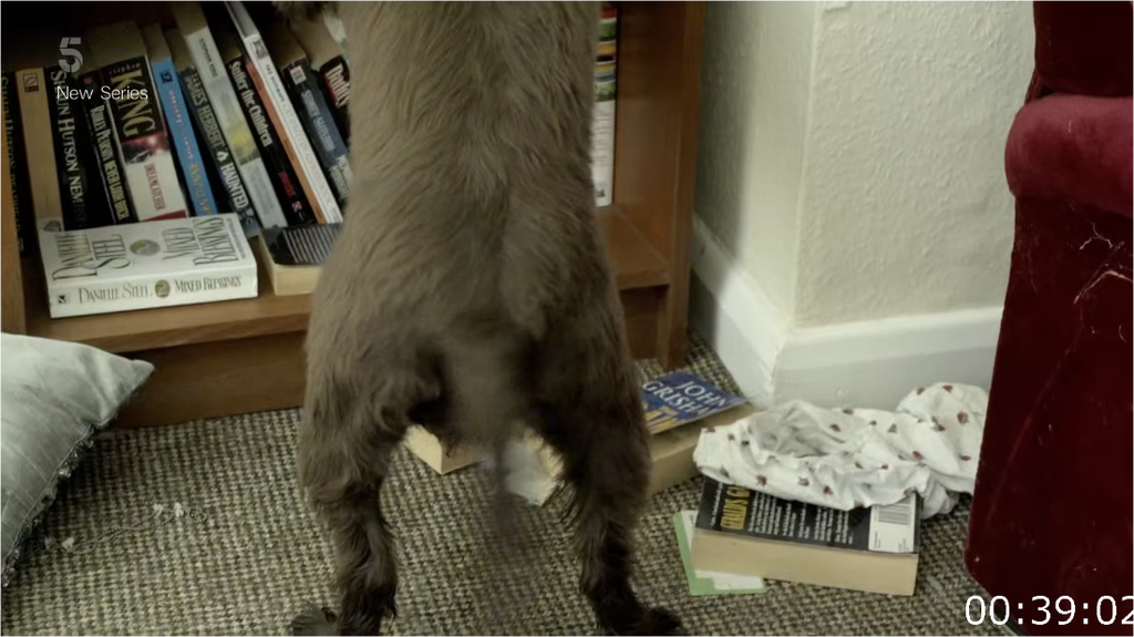 [Image: tj0zu5c7e3qd.png]