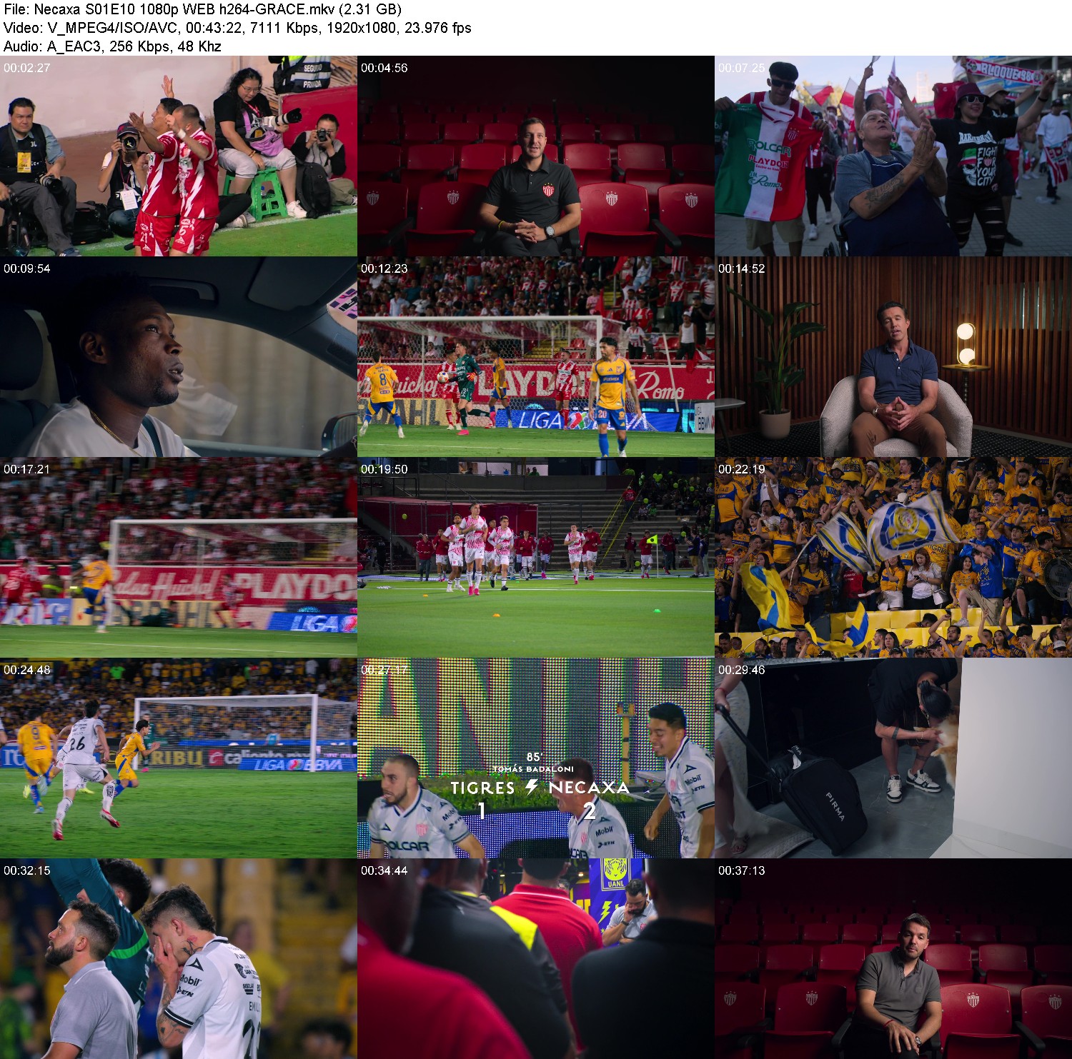 [Image: hfd1z72qb7sz.jpg]