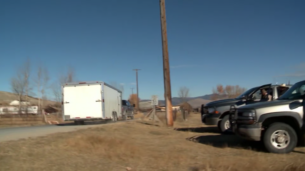 [Image: 4h0ivyqsf3f5.png]