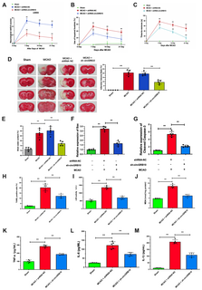 Figure 2 — Postimages