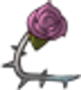Rose-Left