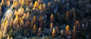 09-01-SDQ-4158p-B