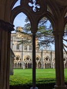 PXL_20211107_153916284