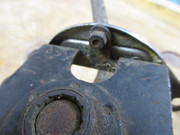 IMG-6878.jpg