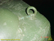 DSC00334