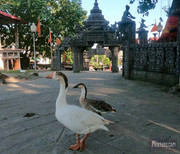 BBG&B19TawangToTezpur - 8