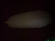 Kép