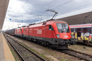 IMG-2770