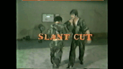 Lin-slant-cut-1.gif
