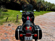 IMG-2539