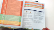 Odin-Dutch-rulebook-screenshot-(17)