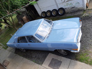 104432060_293650841760975_2019327036866357293_n