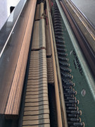 32be2491-87bf-11ef-8bfa-f3bb8ac51aa3