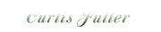 curtis-font