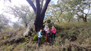 IMG-20260117-125836