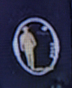 [Image: PXL-20231016-003143183.jpg]