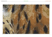 2913246-crosti-ru-color-11