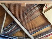 49ef6fc8-5677-11ef-912c-993093f2aab4