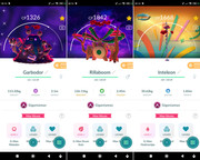 Polish 20260210 182304314