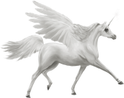 Christmasswishoffairydnunicorn