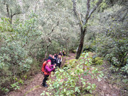 IMG-20260131-124320978-HDR
