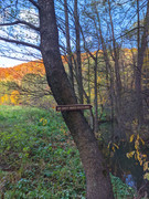 PXL_20211024_143348730