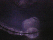 Photo_2025-06-05 21_49_50_068