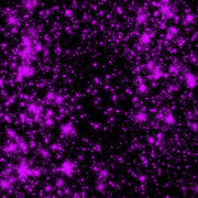 MVDLavender-Love-Paper-010