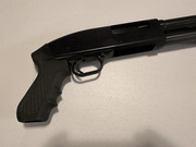 IMG-6353