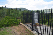 DSC-0169