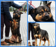 Be-Funky-collage-18.jpg&key=92efc07c46af