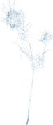 DS-WTL-Element-13