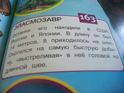 https://i.postimg.cc/v1xfMKqc/100-8085.jpg