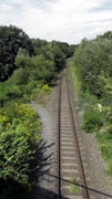 Tasdorf