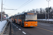 IMG-5910