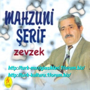 Asik-Mahsuni-Serif-Zevzek-2