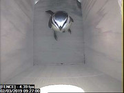 FENCE 2019-03-02 09-27-00.005