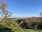 apple_iphone_12_pro_photo_5a