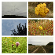 spotkalamzranabociana