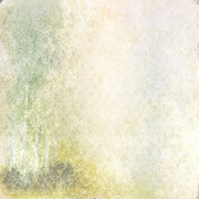 JH-COI-Paper02